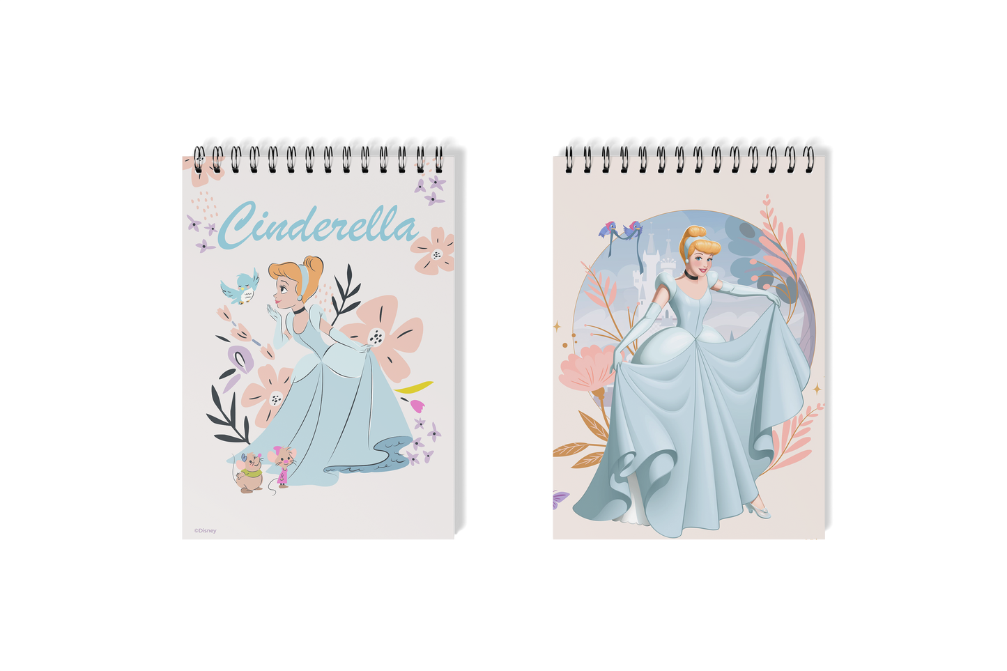 Disney Princess Notebooks  Cinderella