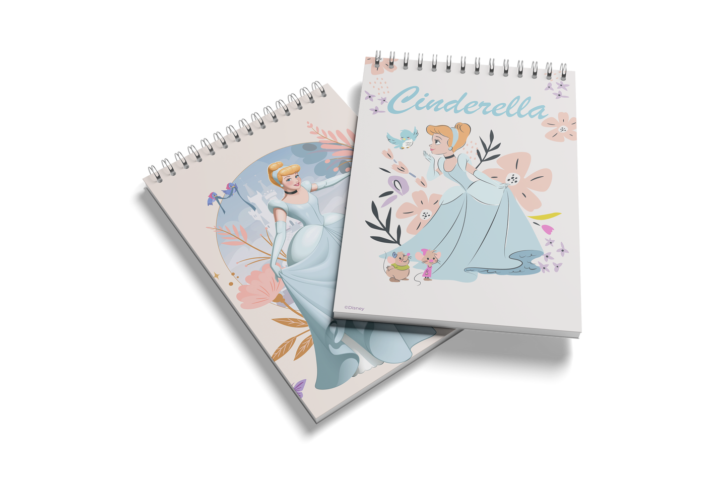 Disney Princess Notebooks  Cinderella