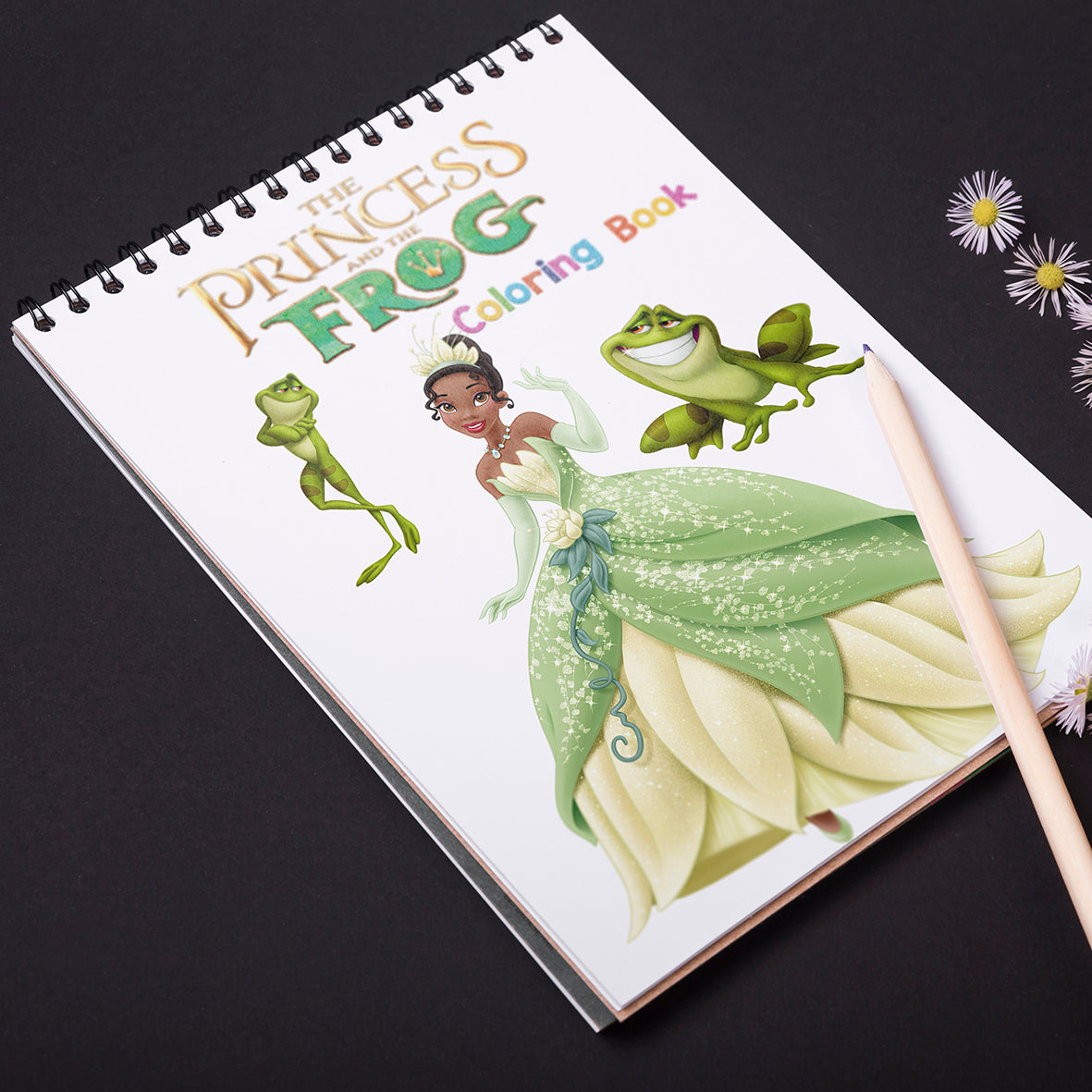 Disney Princess and the Frog Coloring Book